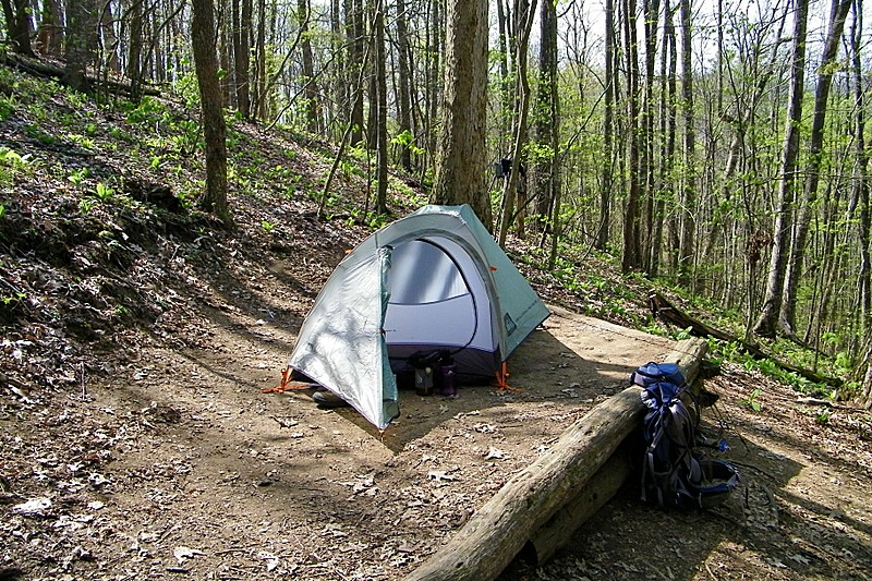 Birch Spring Campsite