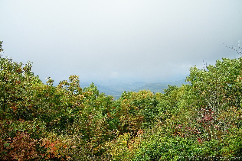 Springer Mountain