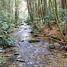 Three Forks by SmokyMtn Hiker in Views in Georgia