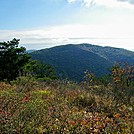 Wolf Laurel Top by SmokyMtn Hiker in Views in Georgia