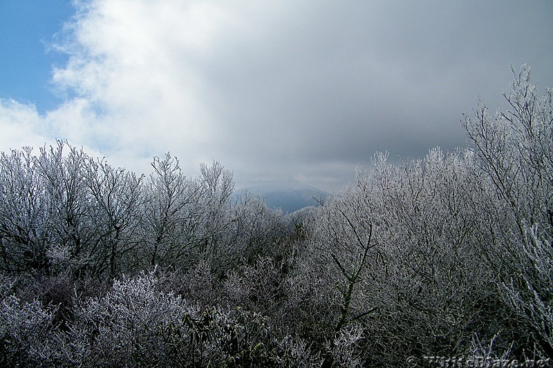 Big Butt - Cold Spring Mountain