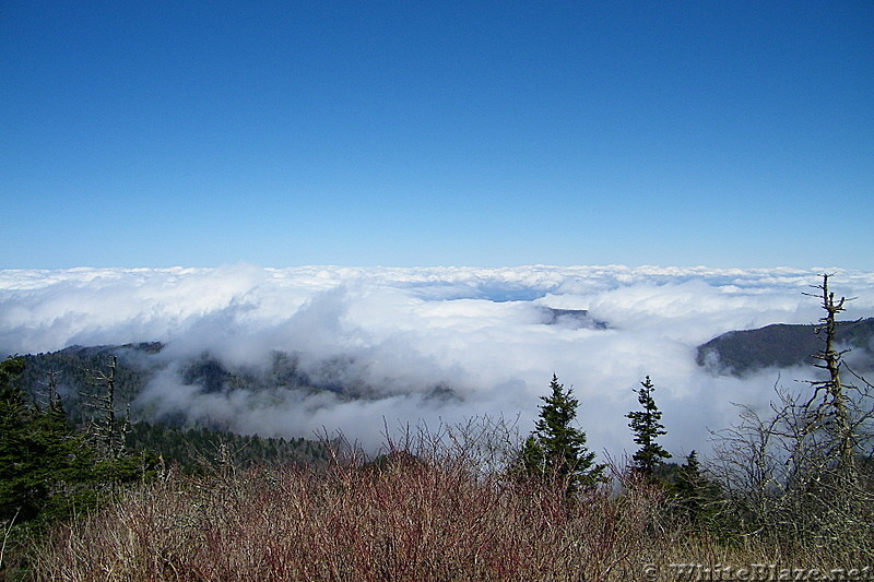 View from Mount Buckley