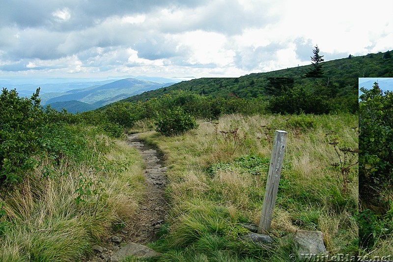 AT and Grassy Ridge Trail Junction