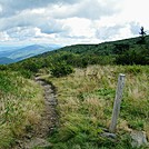 AT and Grassy Ridge Trail Junction by SmokyMtn Hiker in Trail & Blazes in North Carolina & Tennessee