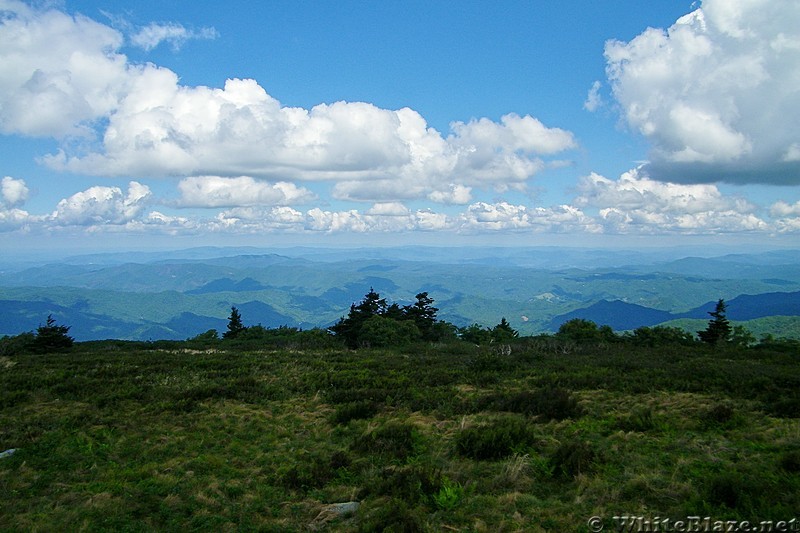 Grassy Ridge