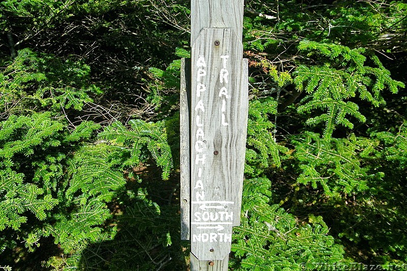 Trail signage on Roan Mountain