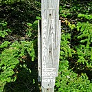 Trail signage on Roan Mountain
