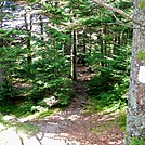 Leaving northbound by SmokyMtn Hiker in Trail & Blazes in North Carolina & Tennessee