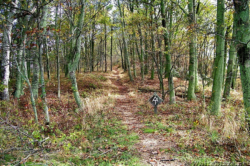 Appalachian Trail