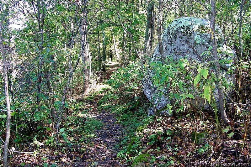 Thunder Ridge Overlook