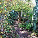 Thunder Ridge Overlook by SmokyMtn Hiker in Trail & Blazes in Virginia & West Virginia