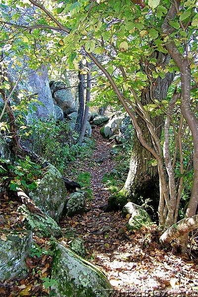 Thunder Ridge Overlook