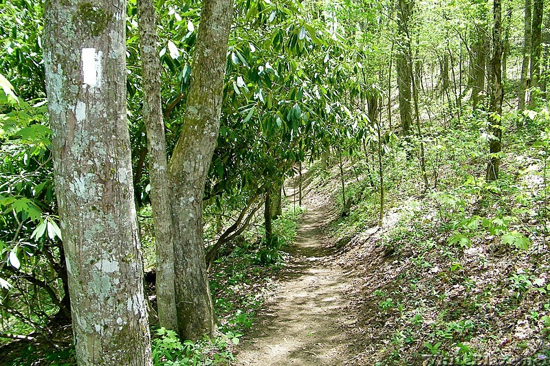 Greasy Creek Gap