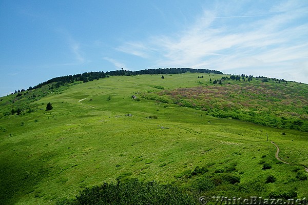 Buzzard Rock