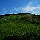 Buzzard Rock