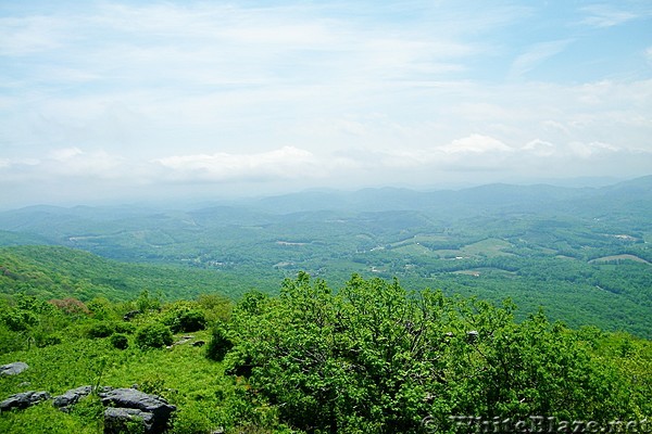 Buzzard Rock