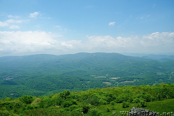 Buzzard Rock