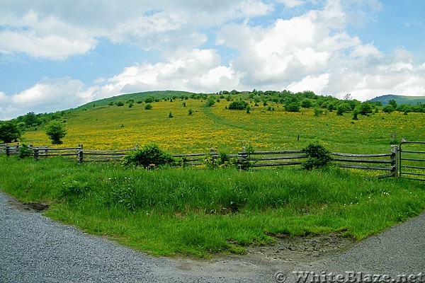 Appalachian Trail