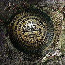 Mount Rogers Benchmark by SmokyMtn Hiker in Special Points of Interest