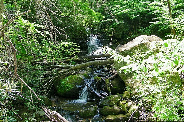 Comers Creek Falls