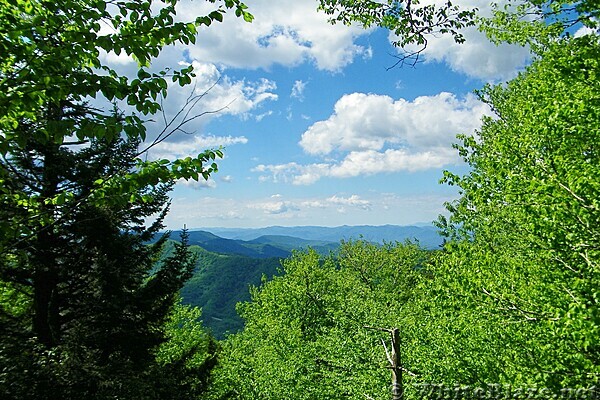 Appalachian Trail in the GSMNP