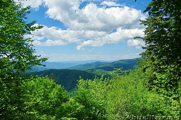 Appalachian Trail in the GSMNP