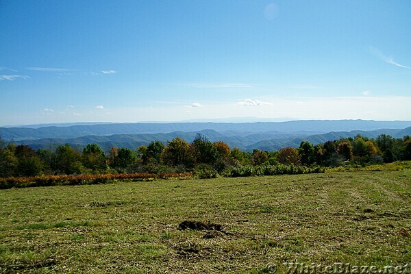 Chestnut Ridge