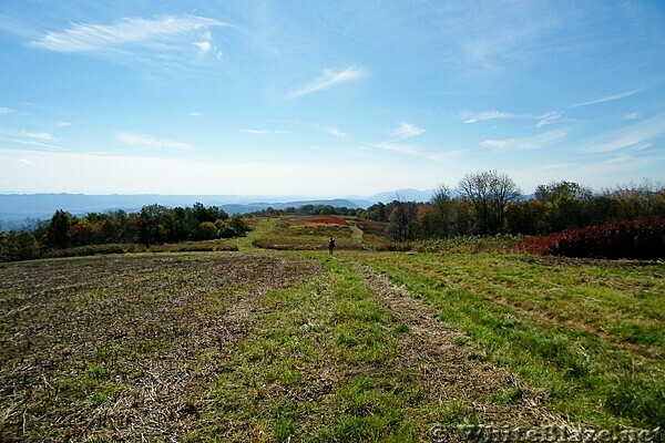 Chestnut Ridge