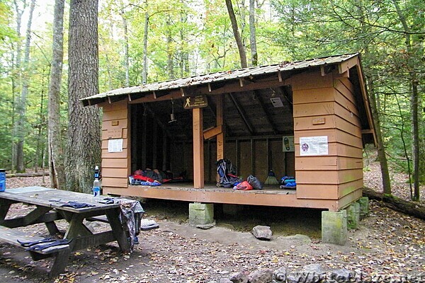 Jenkins Shelter