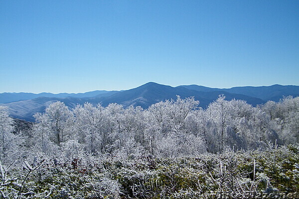 Snowbird Mountain