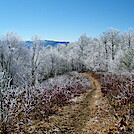 Appalachian Trail by SmokyMtn Hiker in Trail & Blazes in North Carolina & Tennessee