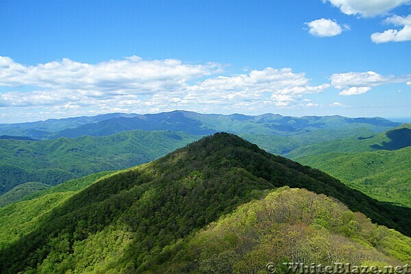 Shuckstack Fire Tower