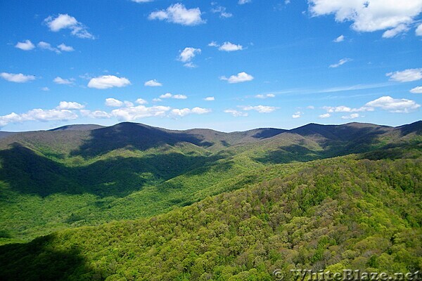 Shuckstack Fire Tower