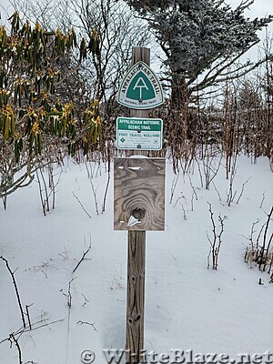 Carvers Gap