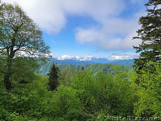 Appalachian Trail in the GSMNP