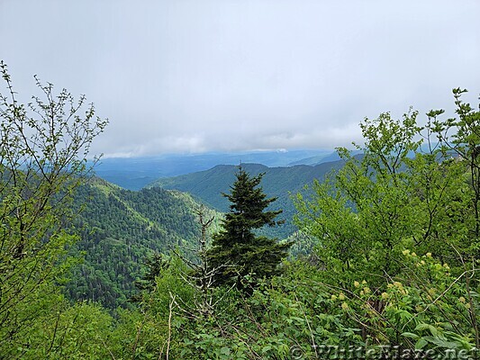 Appalachian Trail in the GSMNP