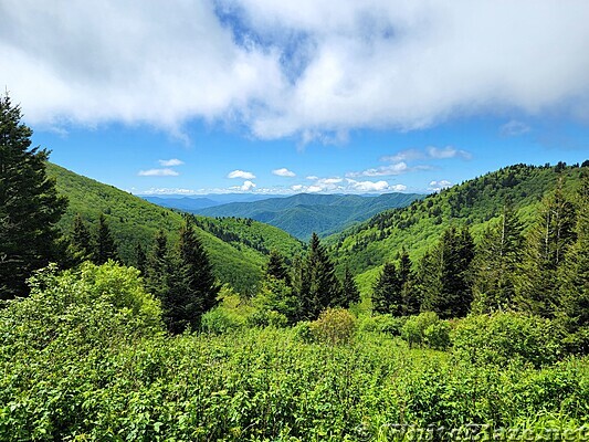 Appalachian Trail in the GSMNP