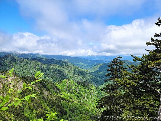 Appalachian Trail in the GSMNP