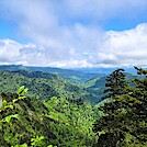 Appalachian Trail in the GSMNP