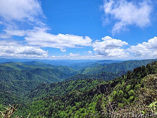 Appalachian Trail in the GSMNP