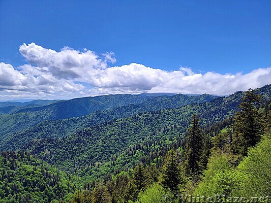 Appalachian Trail in the GSMNP