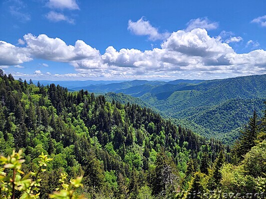 Appalachian Trail in the GSMNP