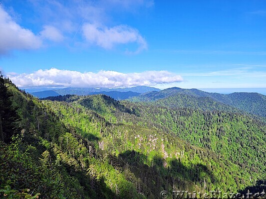 Appalachian Trail in the GSMNP