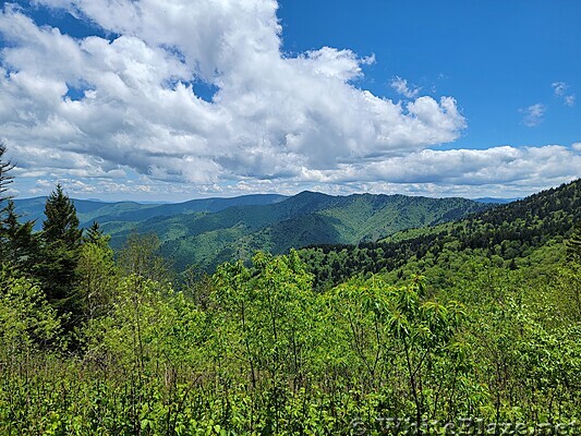 Appalachian Trail in the GSMNP