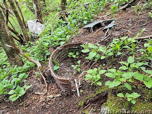 Appalachian Trail in the GSMNP