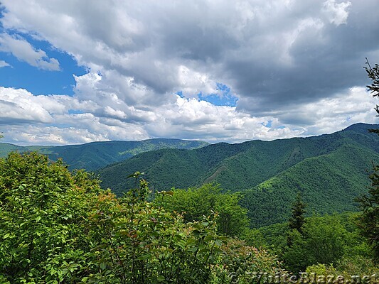 Appalachian Trail in the GSMNP