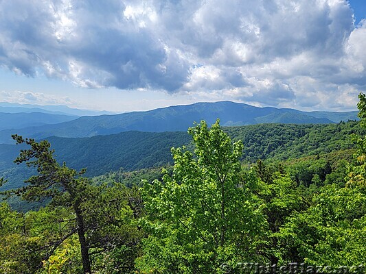 Appalachian Trail in the GSMNP