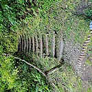 Appalachian Trail by SmokyMtn Hiker in Trail & Blazes in North Carolina & Tennessee