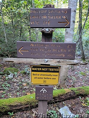 Pine Swamp Branch Shelter