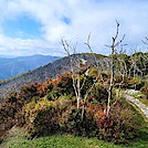 Wayah Bald Lookout Tower by SmokyMtn Hiker in Views in North Carolina & Tennessee